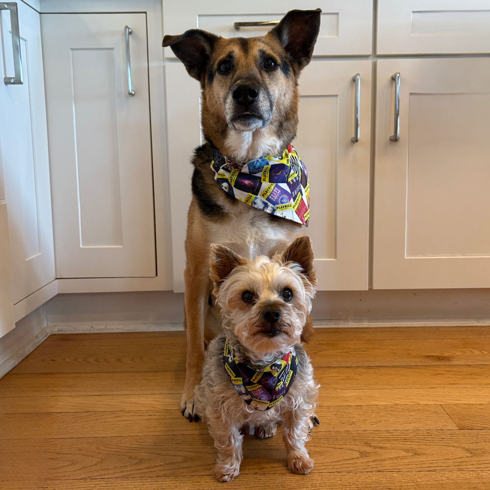 Playbill Pet Bandana