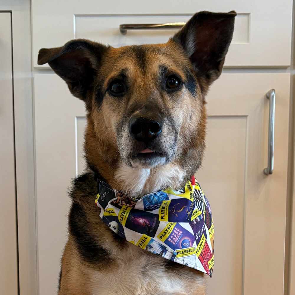 Playbill Pet Bandana
