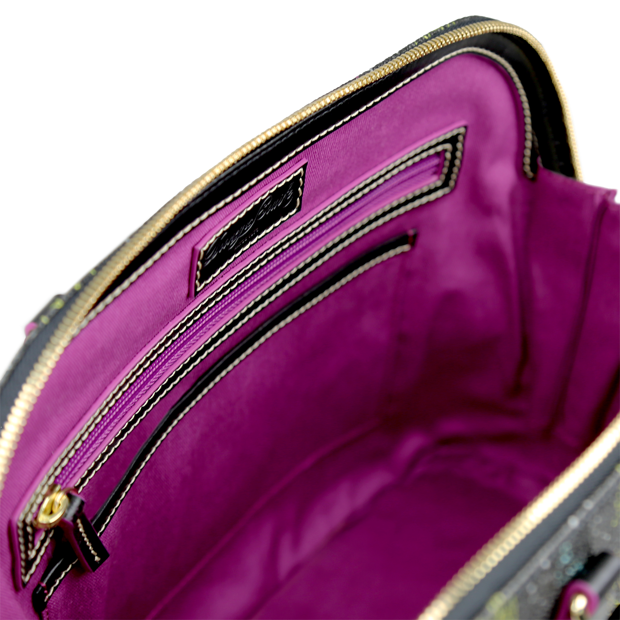 Aladdin X Dooney & Bourke Satchel