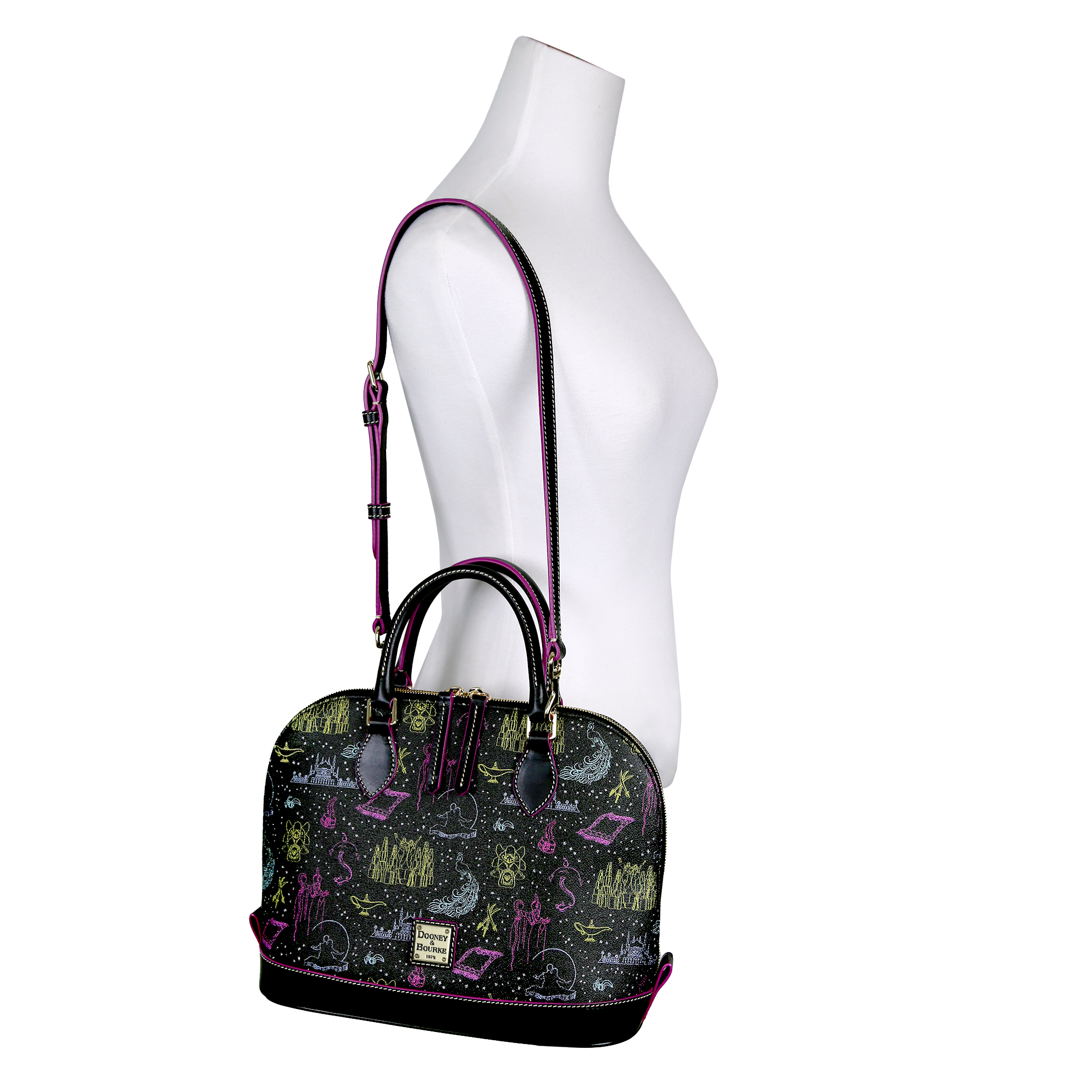 Aladdin X Dooney & Bourke Satchel