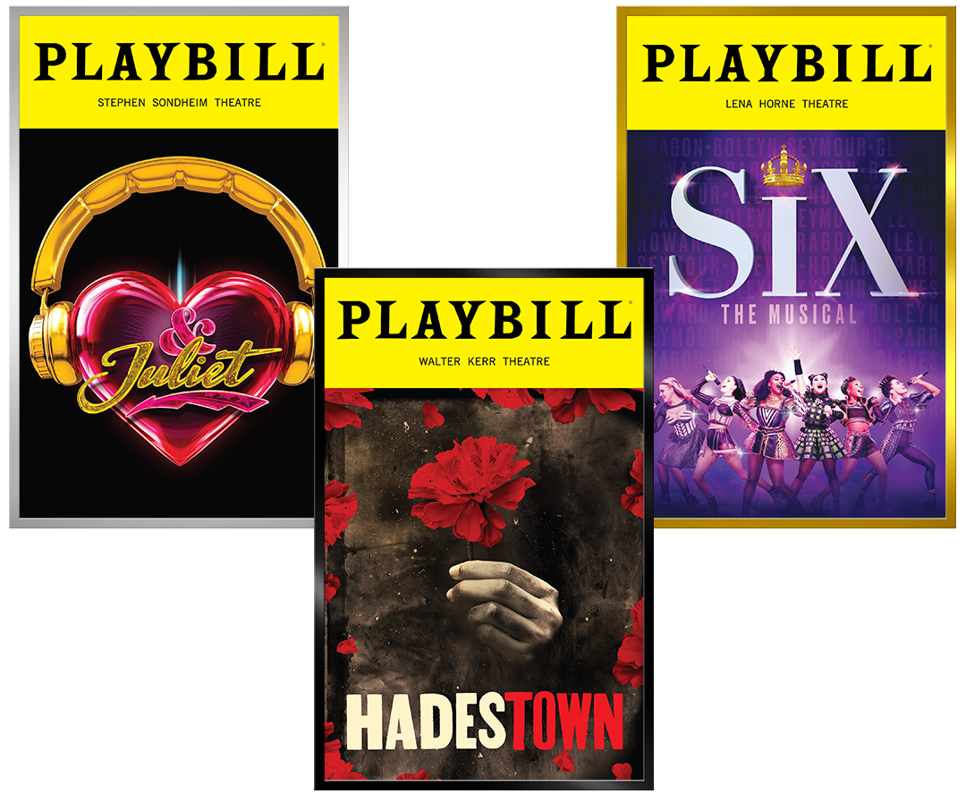 The Basic Playbill Display Frame