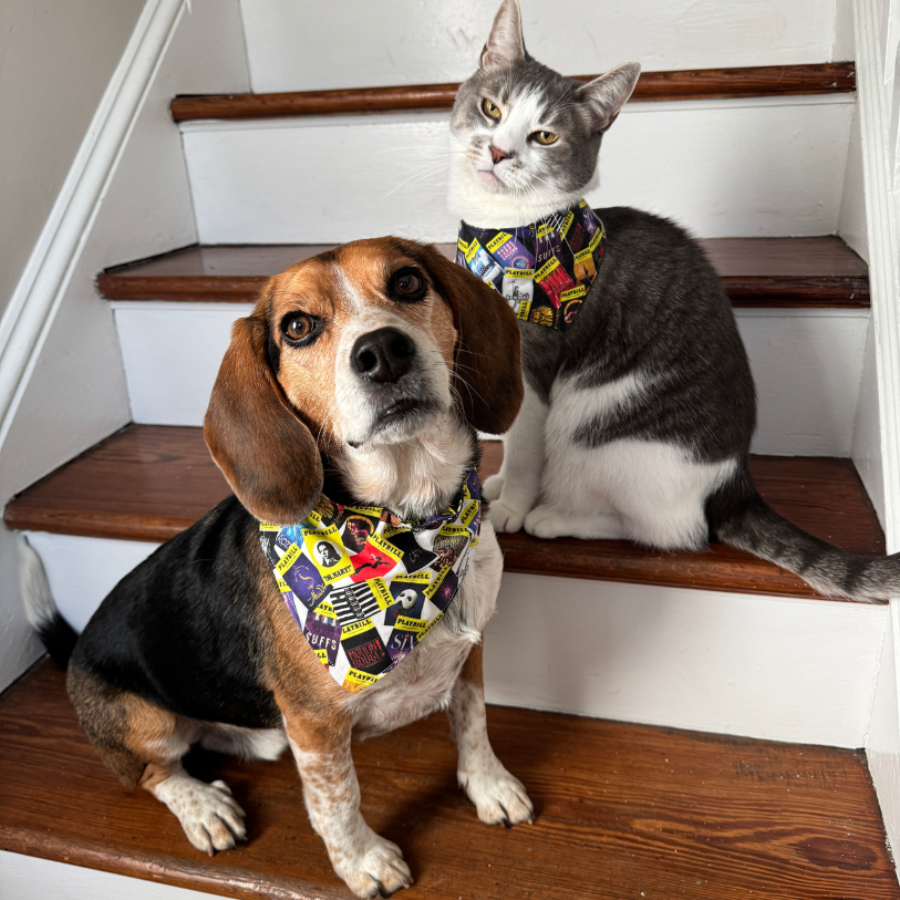 Playbill Cat Bandana - Choose a Pattern