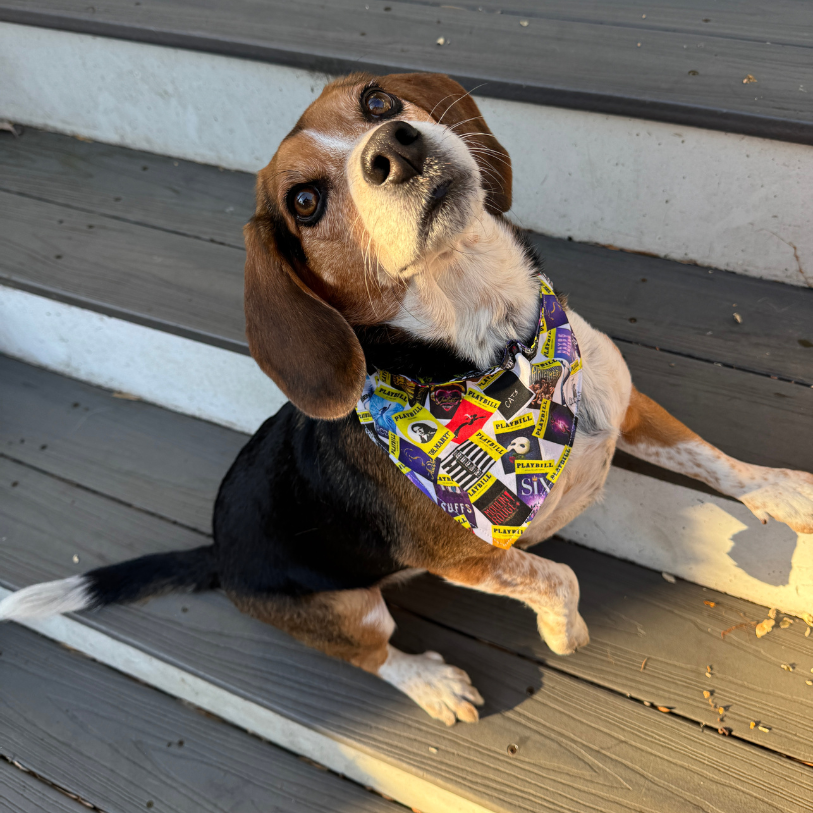 Playbill Pet Bandana