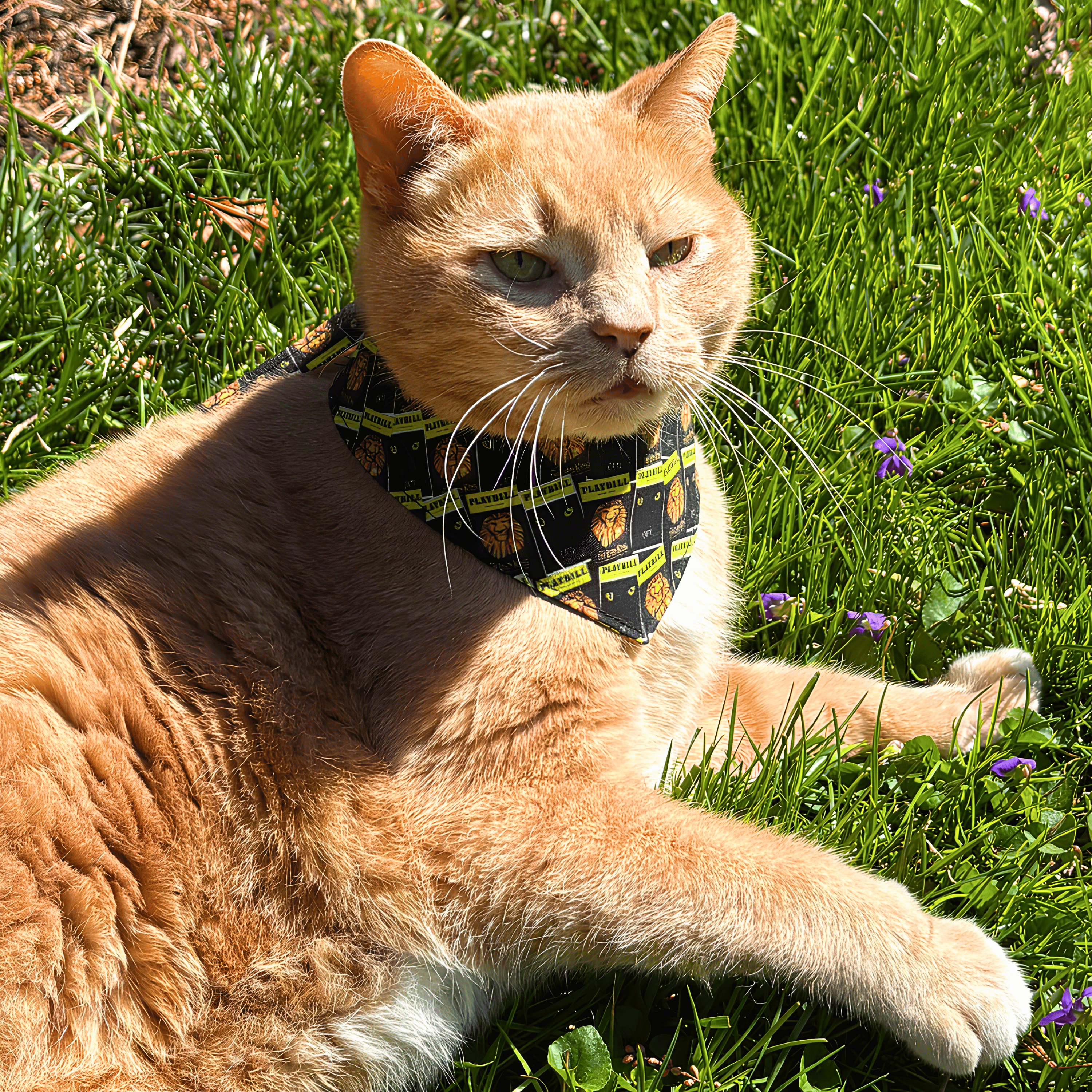 Playbill Cat Bandana - Choose a Pattern