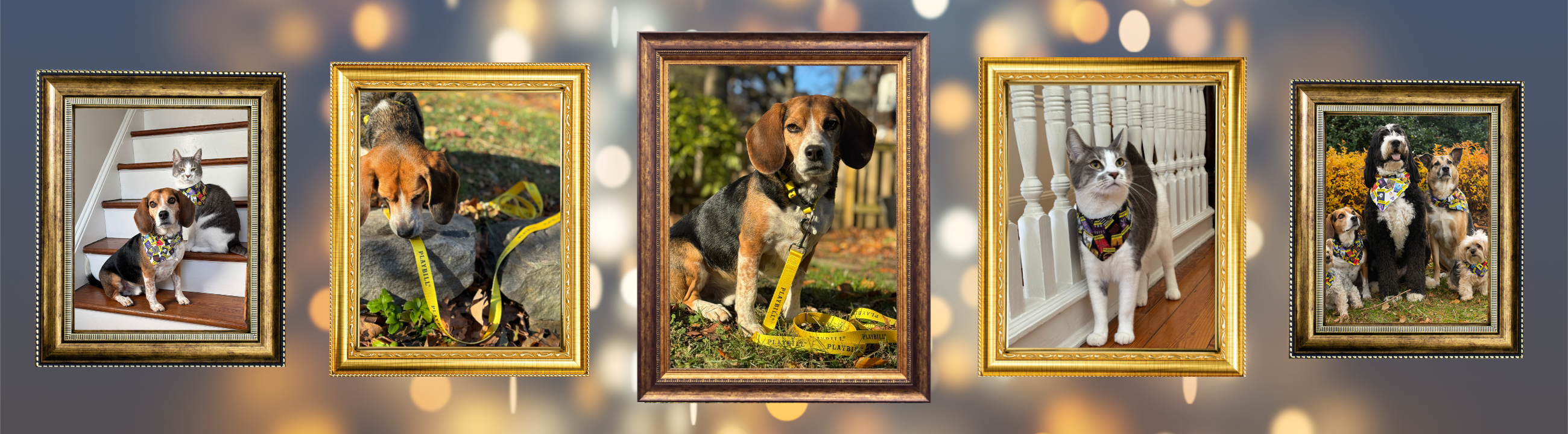 Theatrical Dogs & Cats!