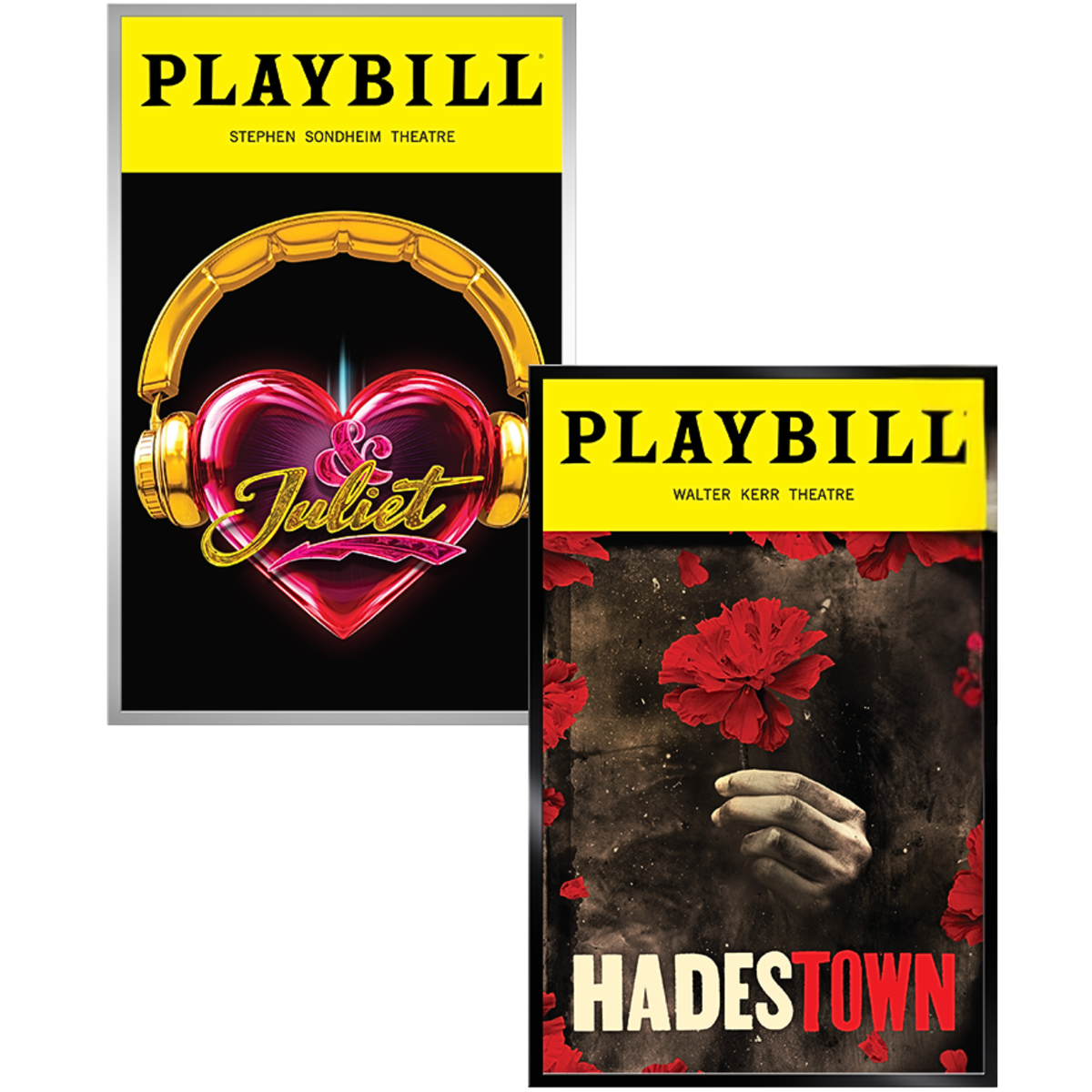 The Basic Playbill Display Frame
