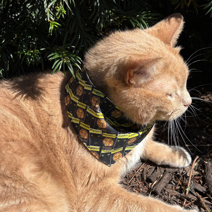 Playbill Cat Bandana - Choose a Pattern